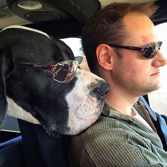 Meet your Posher, Christopher - Picture 1 of 1